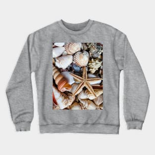 Summer Beach Surf Travel Seashell Starfish Crewneck Sweatshirt